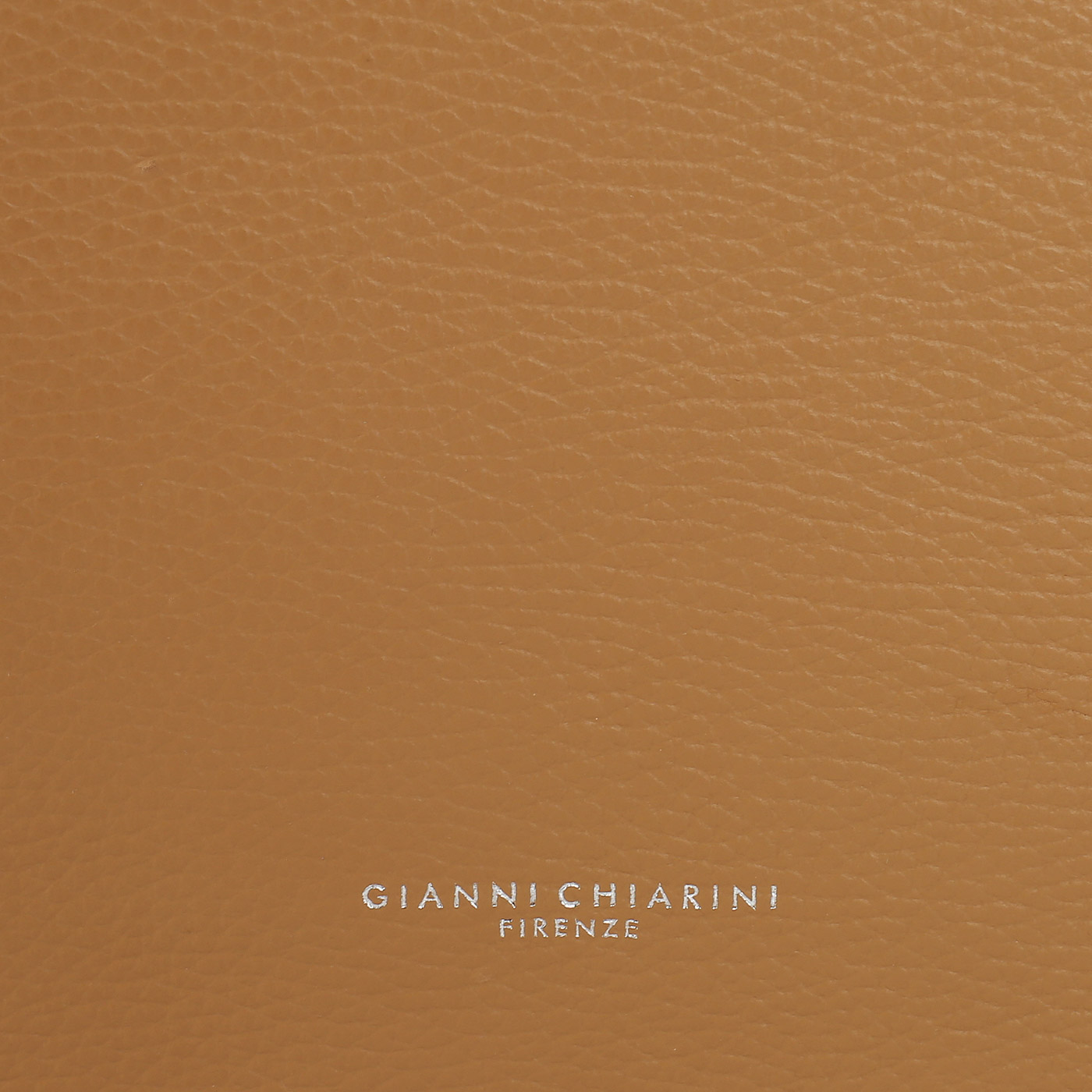 Кожаная сумка Gianni Chiarini Twin